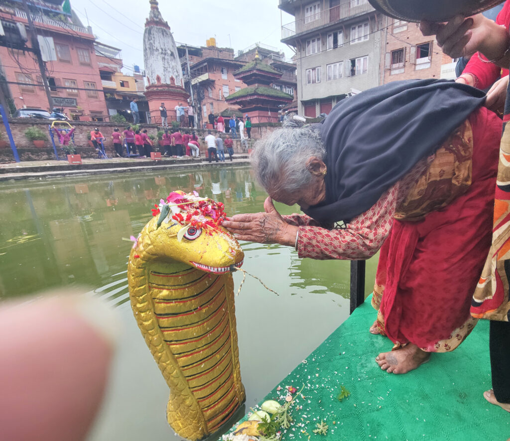 श्रावण शुक्ल पञ्चमीः नागको पूजा, आराधना गरी नागपञ्चमी पर्व मनाइँदै